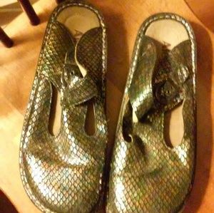 Women's Alegria, PG Lite Slip on Clog Shoes, Sz 11
